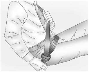 Lap-Shoulder Belt (U.S. and Canada)